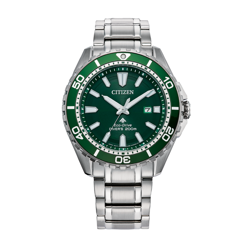 Promaster Dive