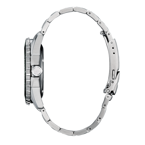 Promaster Dive