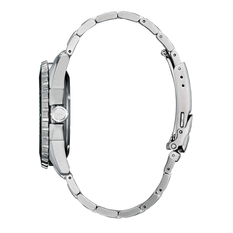 Promaster Dive