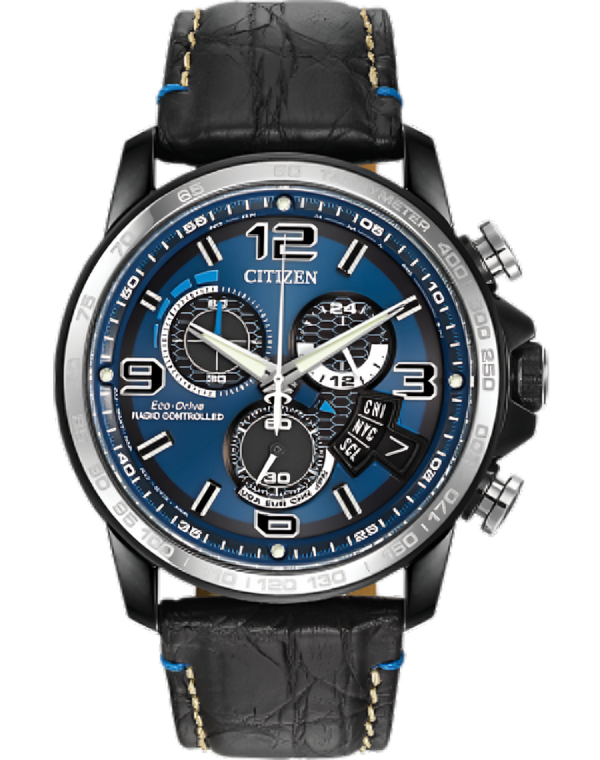 Promaster Dive